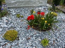 Grabgestaltung Steine und Pflanzen